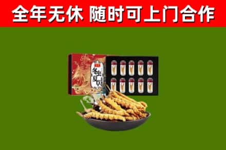 道外回收冬虫夏草价格