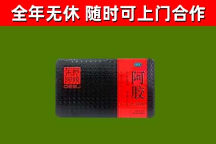道外回收阿胶