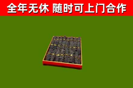 道外回收海参